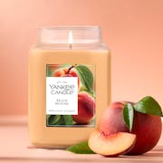 Peach Picking